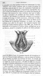 Fig. 668 - Traité de médecine opératoire, bandages et appareils. 4è éd. Tome premier