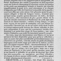 0019 - Page 15 - chaussure / chauveté / chaux