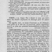 0022 - Page 18 - chaux / chef / chélidoine