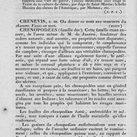 0030 - Page 26 - chêne / chenevis / chenopodées