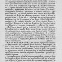 0031 - Page 27 - chenopodées / chervi / chevauchement