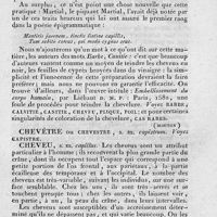 0037 - Page 33 - chevelure / chevêtre / cheveu