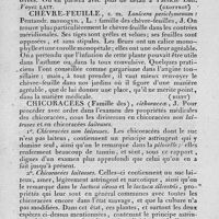 0045 - Page 41 - chèvre / chèvre-feuille / chicoracées