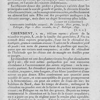 0047 - Page 43 - chicorée / chiendent