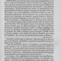 0423 - Page 403 - cobalt / coccinelle / coccyx