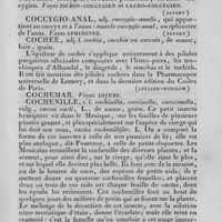 0425 - Page 405 - coccyx / coccygien / coccygio-anal / cochée / cochemar / cochenille