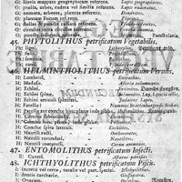 0015 - Page 11 - Ordo 3. Petrificata simulacrum vegetabilis vel Anilmalis impressum ostendunt