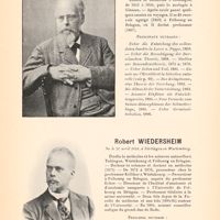 0057 - Page 53 - August Weismann / Robert Wiedersheim