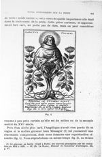 Fig. 4. Sanctus Cosmas [Angélique] - Notes historiques sur la peste - Archives de parasitologie