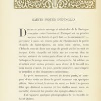0017 - Page 14 - Saints piqués d'épingles