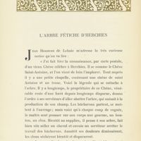 0021 - Page 18 - L'arbre fétiche d'Herchies