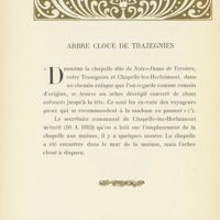 0031 - Page 24 - Arbre cloué de Trazegnies