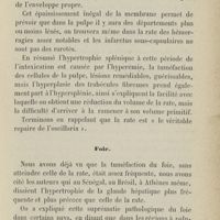 0105 - Page 97 - Foie