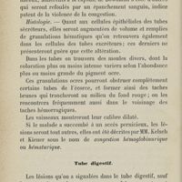 0110 - Page 102 - Tube digestif