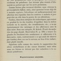 0188 - Page 180 - Dégénérescence amyloïde