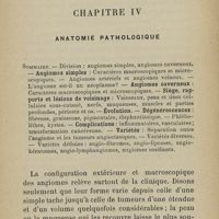 0031 - Page 19 - Chapitre IV. Anatomie pathologique