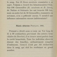 0196 - Page 184 - Filaria obturans Prenant, 1885