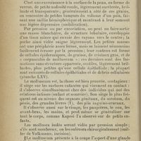 0048 - Page 28 - D. Molluscum contagiosum (Molluscum verrucosum, condylome endocystique. Acné varioliforme de Bazin)