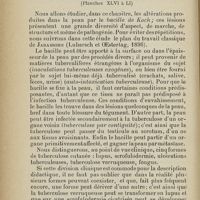 0230 - Page 210 - J. Tuberculose de la peau