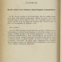 0322 - Page 280 - Planche XII. Herpès zoster sacro-lombaire hémorrhagique et gangréneux