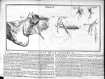 Planche VI. Fig. 1. Os des temples / Fig. 2. L'enclume / Fig. 3 et 4. Le marteau / Fig. 5. La circon [...]