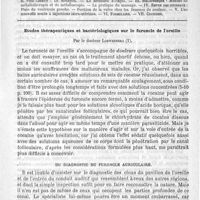 0173 - Page 169 - Comité de rédaction / Sommaire / Etudes thérapeutiques et bactériologiques sur le furoncle de l'oreille, par le Docteur Loewenberg