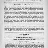 0437 - Page 433 - Comité de rédaction / Sommaire / La mort dans les maladies du foie / Feuilleton. De la bastille au cap nord (Notes et impressions d'un parisien en Norwège), par Maurice Springer