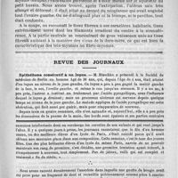 0531 - Page 523 - Bulletin. Fibro-myome de l'ovaire gauche, ablation, mort par péritonite le troisième jour, par le docteur Millot-Carpentier, de Montécouvez (Nord) / Revue des journaux. Epithélioma consécutif à un lupus (Société de médecine de Berlin, 29 janvier) / Feuilleton. Causerie