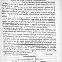 0101 - Page 93 - Académies et sociétés savantes. Société médicale des hôpitaux. Séance du 10 juillet / Feuilleton. Causerie [Simplissime] / Pilules de créosote. - Schapper / Lotion contre la pelade. - Vidal