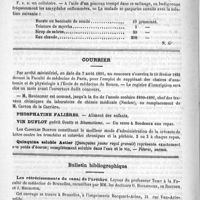 0248 - Page 240 - Formulaire. Collutoire antiseptique contre l'amygdalite. - Dauchez / Courrier / Bulletin bibliographique