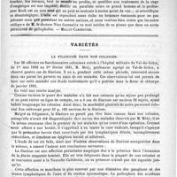 0591 - Page 587 - Revue des journaux. Journaux italiens. Notes critiques sur la méthode de traitement de la rage de Pasteur, par le Docteur Nino Gazzanica. (N°s 46 et 48 della Gazzetta lombarda) / Variétés. La filariose dans nos colonies