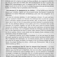 0271 - Page 271 - Revue de l'hygiène. Expériences de Pettenkofer sur la transmission du choléra (Annales d'hygiène et de médecine légale, janvier 1893, p. 52) / Les mouches et la dissémination du choléra (Deutche med. Wochenschrift, 1892, n° 41, et Bulletin médical, p. 1331) / Germes charbonneux dans la vase du ruisseau d'une tannerie