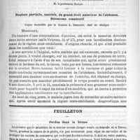 0485 - Page 481 - Sommaire / Clinique chirurgicale de la charité. M. le Professeur Duplay. Rupture partielle, centrale, du grand droit antérieur de l'abdomen. Hématome consécutif. Leçon recueillie par le Docteur A. Demoulin... / Feuilleton. Perdus dans la brume