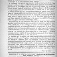 0844 - Page 844 - Hygiène. Hospitalisation des phtisiques [Jules Rochard] / Oblitération de la veine cave supérieure. - Guérison par développement de la circulation collatérale, par le Docteur J. Comby...