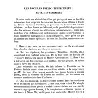 0300 - Page 297 - Revue critique. Les bacilles pseudo-tuberculeux. Par M. le Dr Verhaeghe