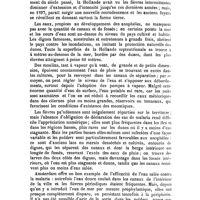 0847 - Page 842 - Revue des journaux. La malaria in Olanda, osservazioni del dott. H.-J.-M. Schoo (Annali d'igiene sperimentale, 1902, Fasc. II, p. 195)
