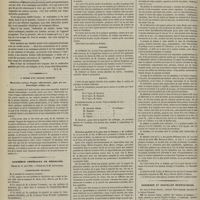 0410 - Page 412 - Études cliniques sur les troubles nerveux de la locomotion observés dans la chloro-anémie. Par M. le Docteur Arzouman... / A propos d'un article intitulé : Observation curieuse d'angine inflammatoire, jugée par une hémorrhagie critique, etc. / Académie impériale de médecine. Séance du 31 août 1858. Correspondance officielle / Correspondance manuscrite. Pellagre. M. Landouzy / Rapports / Élection / Lecture. Coloration partielle de la peau chez les femmes. M. Lasègue, au nom de M. Le Roy de Méricourt / Chronique et nouvelles scientifiques