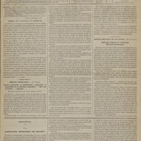 0147 - Page 133 - Sommaire / Séance de l'Académie de médecine. [Dr Brochin] / Hôpital Saint-Louis. M. Foucher. Orchite consécutive au cathétérisme ; suppuration et élimination de la substance séminifère. - Mort par péritonite. - Autopsie. (Observation recueillie par M. Vaslin...) / Hôpital militaire de Versailles. M. Paul Dauvé. Hydrocèle enkystée de l'épididyme. Hydrocèle spermatique / Feuilleton. De la classification géographique des maladies