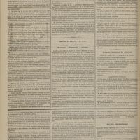 0324 - Page 310 - Galignani-hospital. M. Shrimpton. Emploi de l'appareil à suspension de Smith dans un cas de fracture comminutive compliquée de la jambe chez un enfant de six ans. - Faculté des mouvements pendant le traitement. - Guérison sans difformité / Hôpital de Dellys. M. Dunal. Fractures du pariétal droit. Hémiplégie. - Trépanation. - Guérison / Académie impériale de médecine. Séance du 2 juillet 1867. Correspondance officielle / Correspondance manuscrite / [Feuilleton]. Revue bibliographique. Traité pratique des maladies de l'oeil, par Mackenzie. Traduit sur la 4e édition et augmenté de notes par MM. Warlomont et Testelin... : contenant l'exposé de toutes les découvertes et de tous les faits intéressants relatifs à l'ophthalmologie, qui sont produits depuis 1857, par MM. Mackenzie, Testelin et Warlomont. [Dr Desmarres] / Bulletin bibliographique