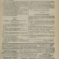 0627 - Page 615 - Académie de médecine. Séance du 2 juillet 1872. Correspondance non officielle / Communication sur le choléra / Thèses soutenues à la Faculté de médecine de Paris pendant l'année 1872 / Chronique et nouvelles scientifiques / Bulletin bibliographique