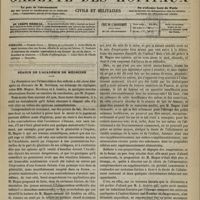 1029 - Page 1017 - Sommaire / Séance de l'Académie de médecine. [Dr Brochin]