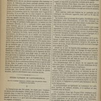 1216 - Page 1204 - Hôpital de la Charité. M. Gosselin. Hernie crurale étranglée / Études cliniques de laryngoscopie ; par M. le Docteur Libermann...