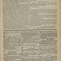0731 - Page 719 - Société de chirurgie. Séance du 1er août 1877. Présentation de pièce. Diagnostic du siège des oblitérations intestinales congénitales. M. Depaul / Présentation de malade