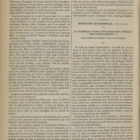 1086 - Page 1074 - Hôpital de la Charité. M. Hardy. Traitement de l'épilepsie / Hôtel-Dieu de Marseille. M. A. Faubre. De l'insuffisance mitrale et des phénomènes cardiaques dans la fièvre typhoïde. (Leçon recueillie par le Docteur Garcin...)