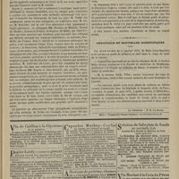 0115 - Page 103 - Académie de médecine. Séance du 29 janvier 1878. Suite de la discussion sur la désarticulation de la hanche. M. Trélat / Chronique et nouvelles scientifiques
