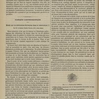 0136 - Page 124 - Hôpital Saint-Louis. M. Guibout. Altérations hypertrophiques de l'épiderme. Callosités. Cors. Cornes. (Leçon recueillie par M. Magne...) / Clinique laryngoscopique. Étude sur les altérations du larynx dans la tuberculose ; par M le Docteur Charles Fauvel et M. Jules André