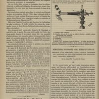0216 - Page 204 - Revue clinique hebdomadaire. Étiologie et traitement hygiénique de l'obésité / Instruments et appareils. Laryngoscope du Docteur Cadier / Hématocèle spontanée de la tunique vaginale compliquée d'une hématocèle extra-vaginale (autrement dit : pariétale) par suite d'une ponction faite avec le trocart ; castration ; guérison. Par le Docteur Th. Thibault...