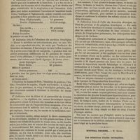 0270 - Page 258 - Hôpital des Enfants-Malades. M. Bouchut. Traitement de la bronchite chronique chez les enfants / Hôpital Necker. M. Guyon. Des rétentions d'urine incomplètes
