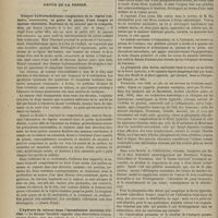 0338 - Page 326 - Clinique ophthalmologique. M. Badal. Blessures de l'oeil. - Énucléation. - Amputation de l'hémisphère antérieur. - Prothèse oculaire / Revue de la presse. Tumeur hydrorachidienne congénitale de la région lombaire, recouverte, en guise de queue, d'une longue et épaisse chevelure. Guérison de la tumeur par la compression, par Rizzoli. (Annales de la Soc. méd. chir. de Liége). (Journ. d'ocul.) / L'hydrate de chloral dans l'incontinence nocturne d'urine. (Lancette belge) / Iodoforme inodore. (Lancette belge) / Nouvelle variété anatomique de phlegmatia alba dolens survenant dans le cours d'une fièvre typhoïde