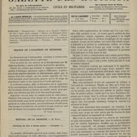 0091 - Page 89 - Sommaire / Séance de l'Académie de médecine. [Dr Victoir Revillout] / Hôpital de la Charité. M. Hardy. Cirrhose du foie à forme mixte. - Autopsie